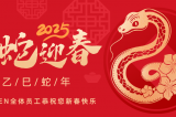 辭舊迎新，蛇舞華章丨深圳容金科技全體員工祝您新春快樂！